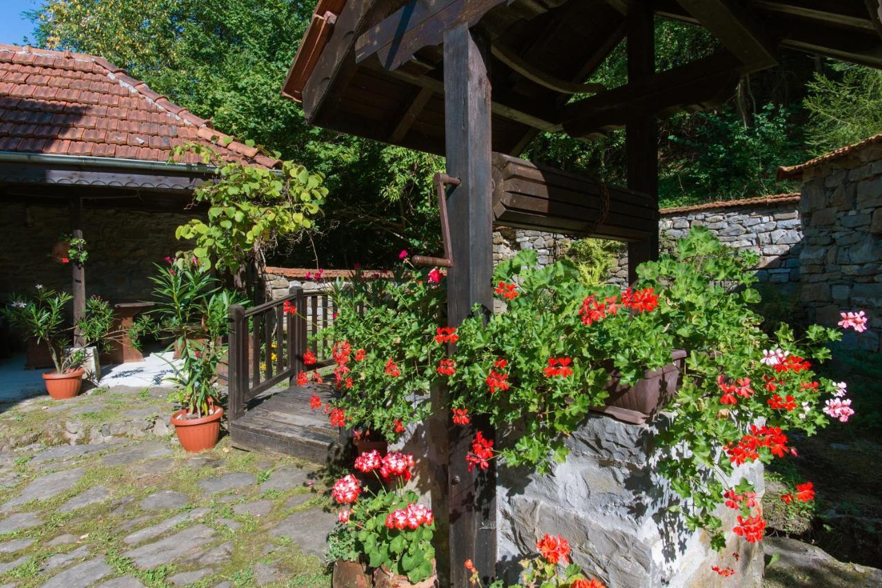 Family Hotel Bile Beli Osŭm Εξωτερικό φωτογραφία