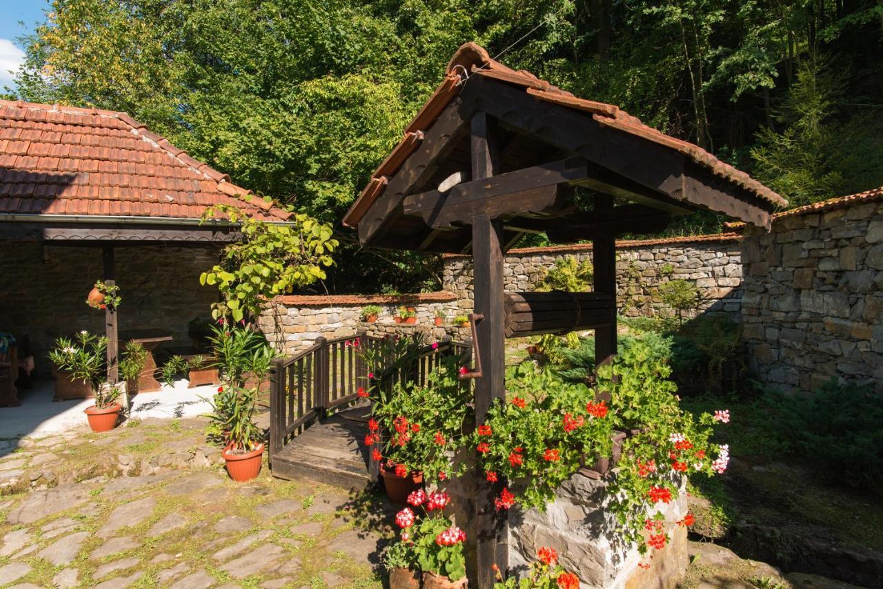Family Hotel Bile Beli Osŭm Εξωτερικό φωτογραφία